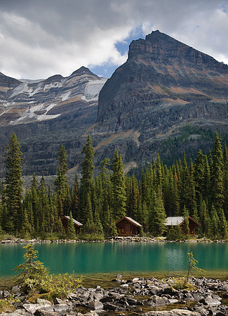 Lake O'Hara #6