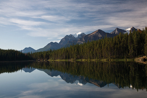 Herbert Lake