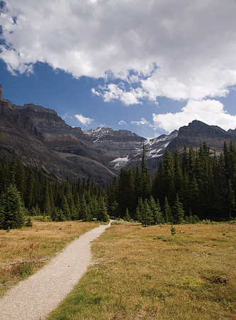 Lake O'Hara Trail #1