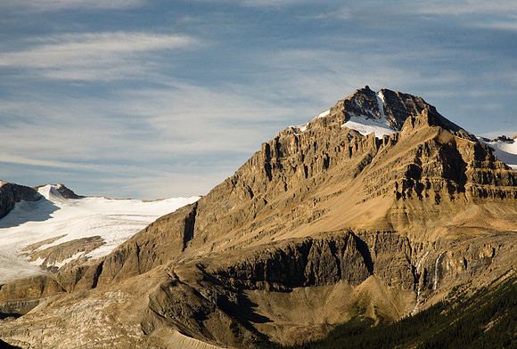Peyto Glacier