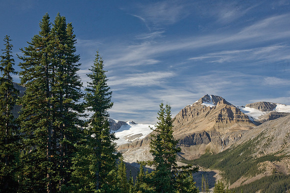 Peyto Glacier #2