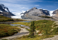 Athabasca Glacier #2
