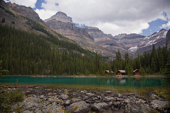 Lake O'Hara #7