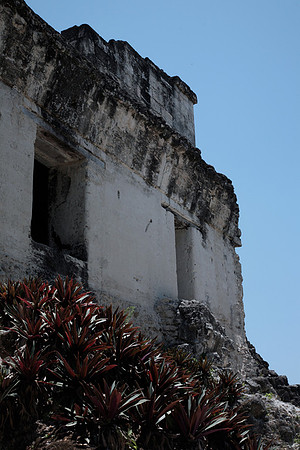 Tikal #8