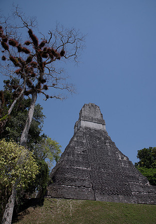 Tikal #2