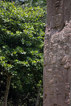 Quirigua Stellae #1