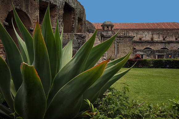 Ruins at Antigua #3