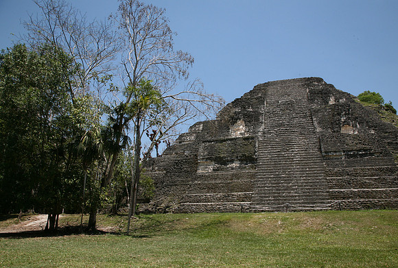 Tikal #14