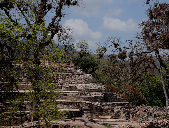 Copan Ruins #4