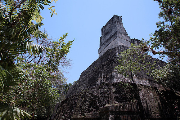 Tikal #10