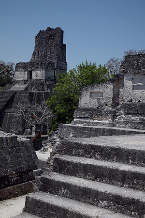 Tikal Great Plaza #3