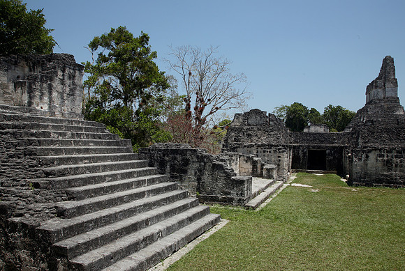 Tikal #4