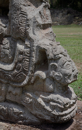 Copan Ruins #6