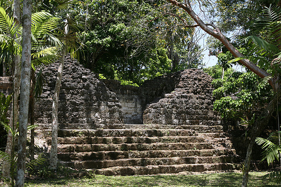 Tikal #13