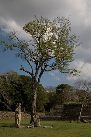 Copan Grand Plaza