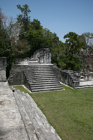 Tikal #7