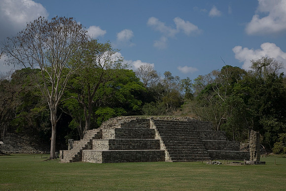 Copan Structure 4 and Stellae A