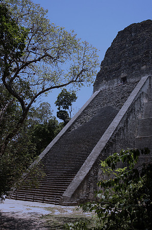 Tikal #11