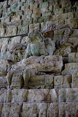 Copan Hieroglyphic Stairway