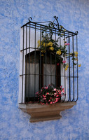 Antigua Window