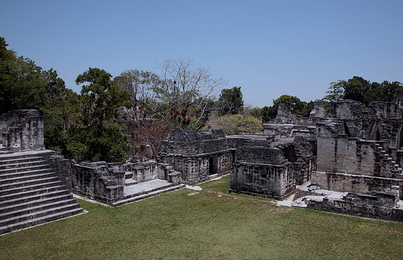 Tikal #5