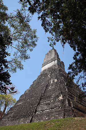 Tikal #1