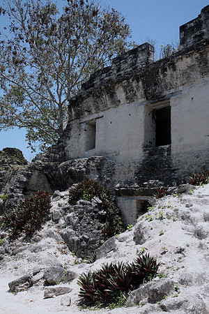 Tikal #9
