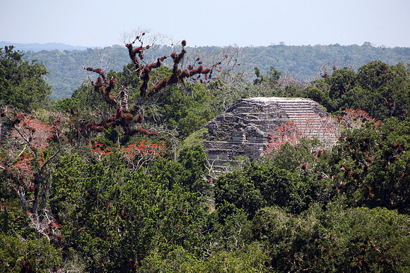 Tikal #16