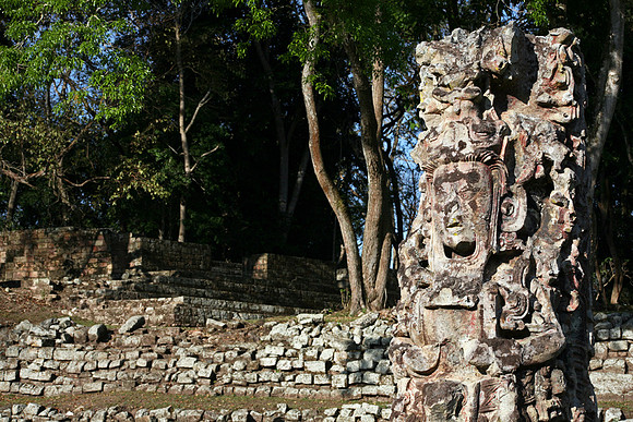 Copan Stellae