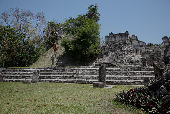 Tikal $4