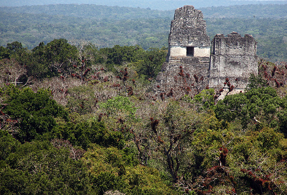 Tikal #18