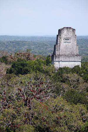 Tikal #17