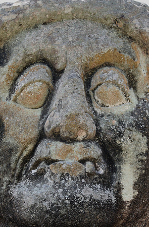 Copan Ruins #5