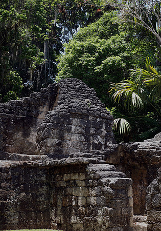 Tikal #12