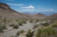 Death Valley 6