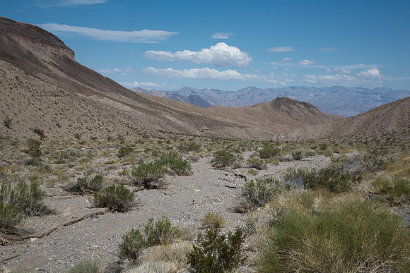 Death Valley 6