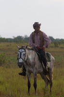Cowboy #2