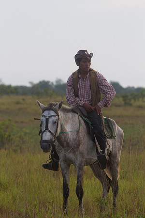 Cowboy #2