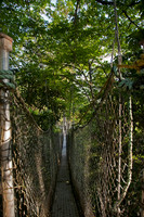 Atta Canopy Walk