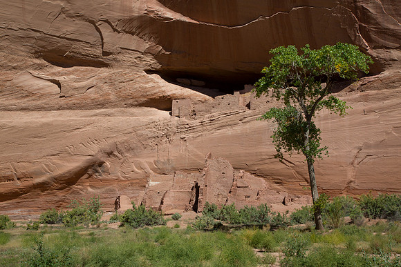 Canyon De Chelly Junction House Ruins 1