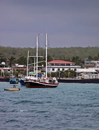 Puerto Ayora Harbor, Santa Crz