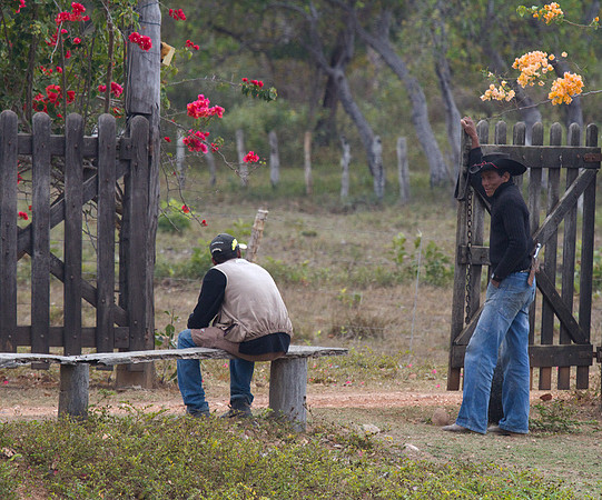 Pantanal Ranch #2