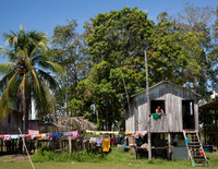 Amazonia Home