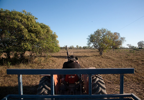 Pantanal Ranch #1