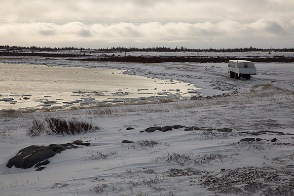 Tundra Buggy 2
