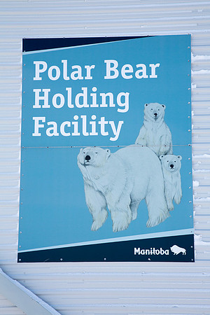 Polar Bear Jail 2