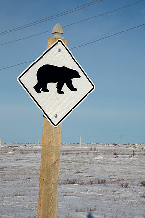 Polar Bear Sign 3