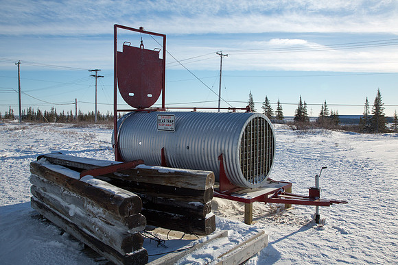 Polar Bear Trap