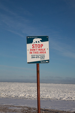 Polar Bear Sign 2