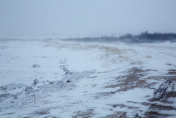 Storm on the Tundra 1